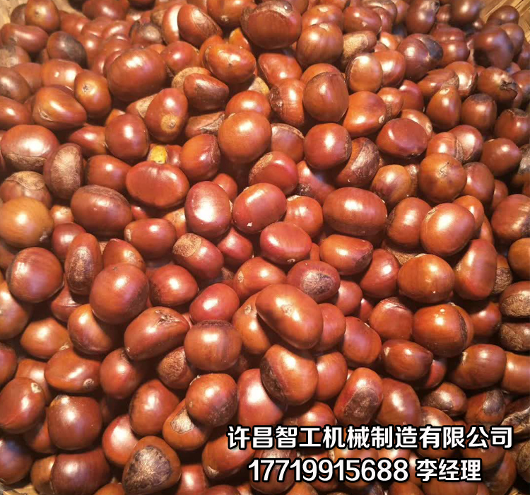 炒板粟機